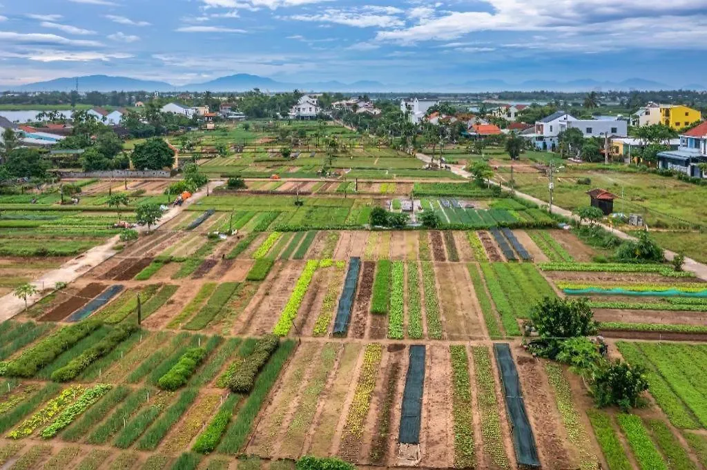 An Bang Vera Homestay Hoi An