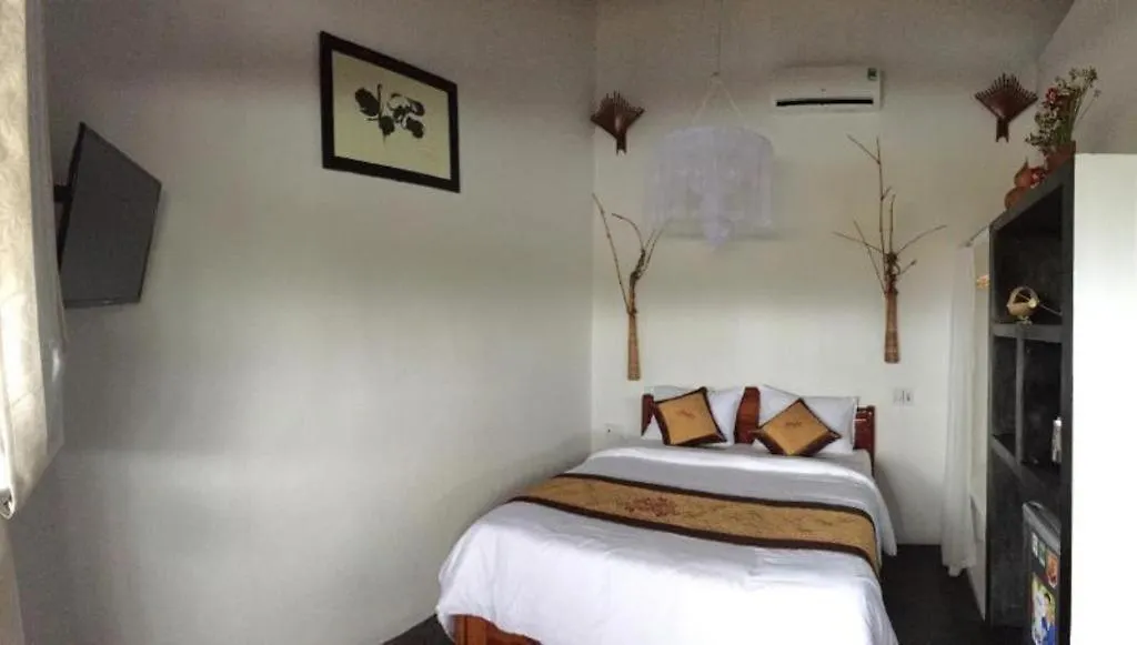 An Bang Vera Homestay Hoi An Vietnam